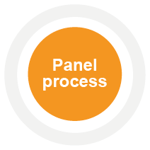 panel process