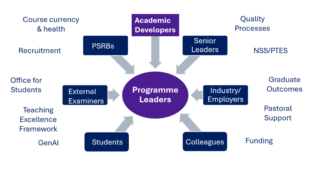 A conceptualisation diagram the competing demands on the programme leader role.